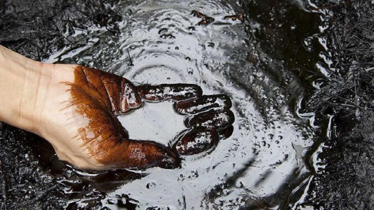 نفت صعودی شد